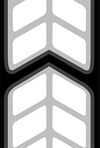 Deline05.jpg